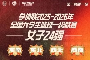 霍吉尼赞卡vs索斯诺维茨直播_原声解说信号