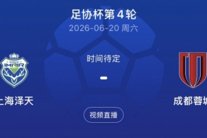 法萨巴夏普尔vs赫兹立亚马卡比直播_手机无插件版