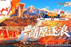 大连英博vs成都蓉城直播_全场录像回放
