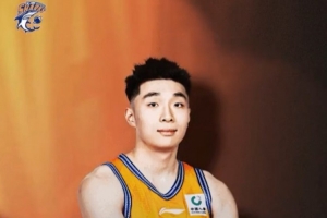 巴布伦加斯vs米尼捷直播_无插件
