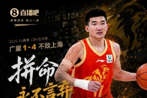 努尔米耶尔维NJSvs埃尔维斯B队直播_无插件