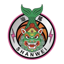 汕尾队首发阵容