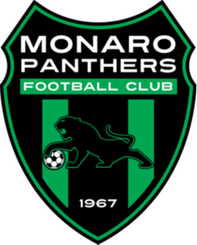 莫纳洛黑豹首发阵容