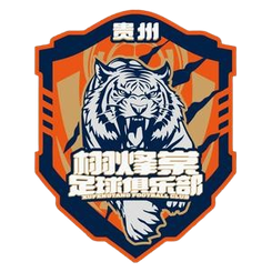 贵州栩烽棠首发阵容
