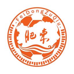 肥东县首发阵容
