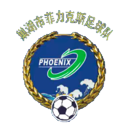 巢湖市首发阵容