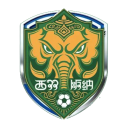 西双版纳队首发阵容