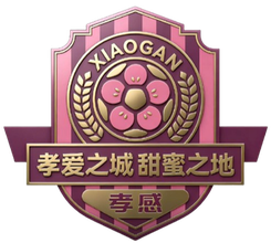 孝感队首发阵容
