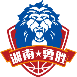 长沙勇胜U21队徽